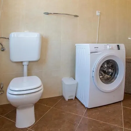 בית נופש House Demetra Tinjan
